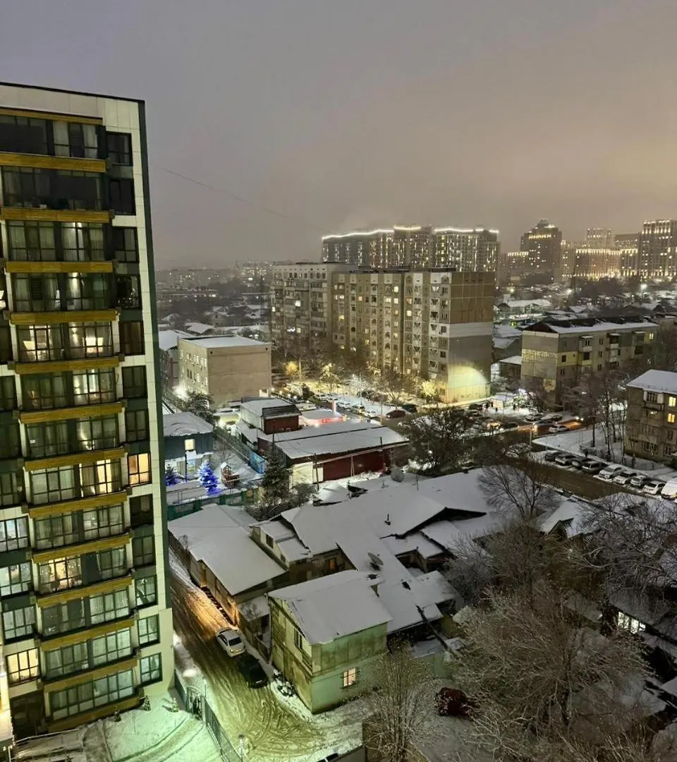 Жк Four Seasons Apartment Almaty 0*,  Kazakhstan